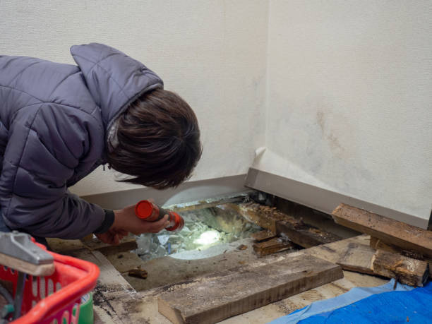 Best Post-Remediation Verification Testing  in Ewa Beach, HI