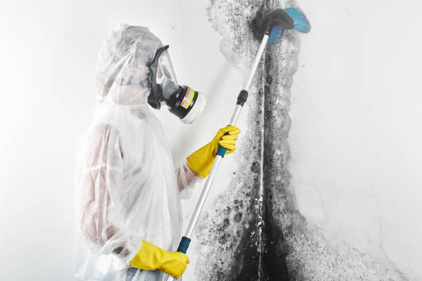 Best Crawl Space Mold Remediation  in Ewa Beach, HI