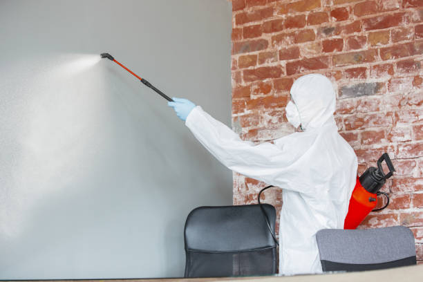  Ewa Beach, HI Mold Removal Pros