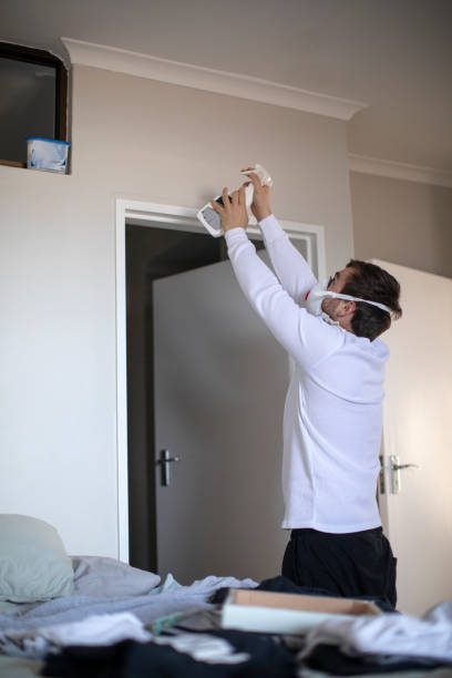 Best Water Damage & Mold Remediation  in Ewa Beach, HI