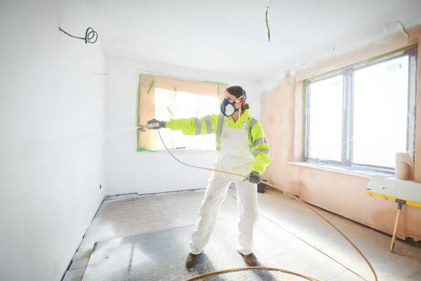 Best Emergency Mold Remediation  in Ewa Beach, HI