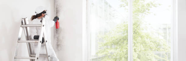 Best Mold Prevention Services  in Ewa Beach, HI