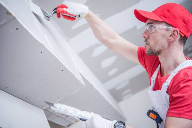 Best Dehumidification Services  in Ewa Beach, HI