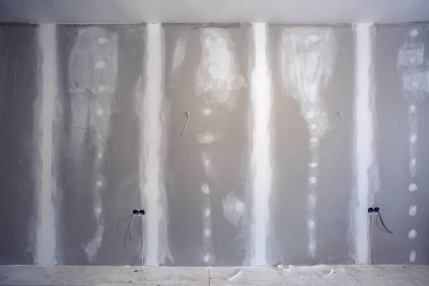 Best Mold Remediation for Healthcare Facilities  in Ewa Beach, HI